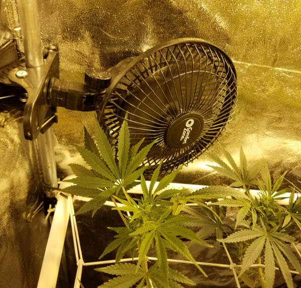 What size fans are needed for proper air circulation in marijuana grow