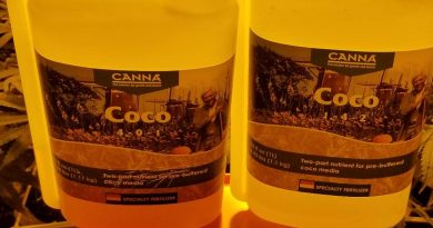 Canna Coco Feed Schedule: Canna Coco A & B Feed Chart and Grow Guide