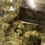 What is the best humidity level to cure marijuana buds?
