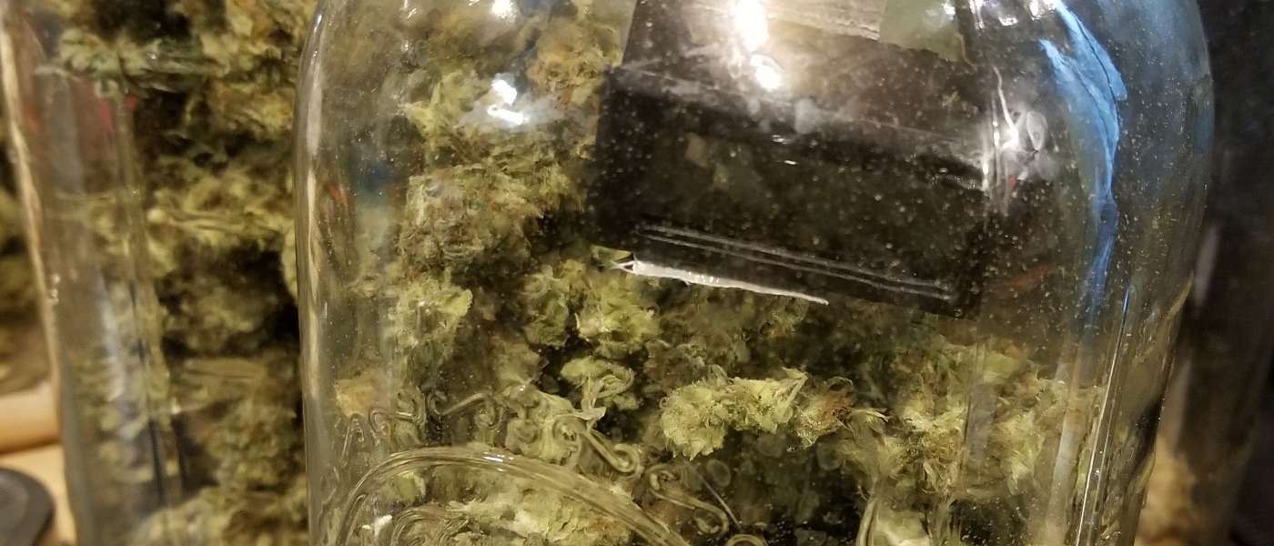 What is the best humidity level to cure marijuana buds?