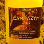 How much Canna Cannazym should be used to grow marijuana in coco coir?