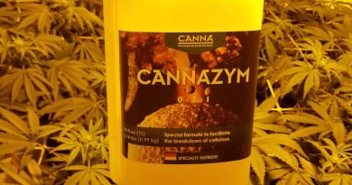 How much Canna Cannazyme should you use with weed plants?