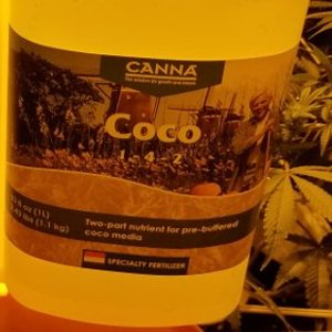 Canna Coco Feed Schedule: Canna Coco A & B Feeding Chart and Grow Guide
