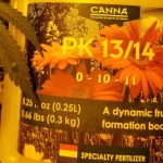 Canna PK 12/13 is a potassium and phosphorus supplement for weed plants