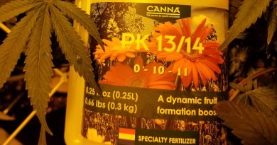 Canna PK 12/13 is a potassium and phosphorus supplement for weed plants