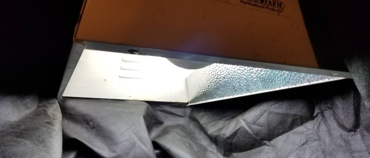 Compact Flourescent Light (CFL) bulbs How to us CFL bulbs for growing