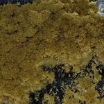 How to decarboxylate hash (decarboxlyation of hash)