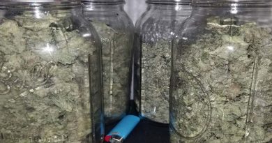 The ideal humidity for curing buds is 60-65%