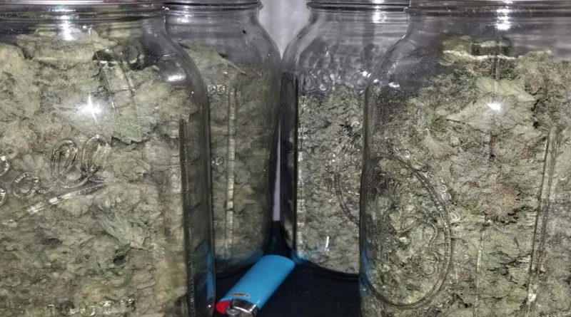 The ideal humidity for curing buds is 60-65%