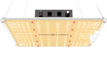 A good LED grow light such as the SpiderFarmer SF-1000 is perfect for germinating cannabis seeds in rockwool cubes.