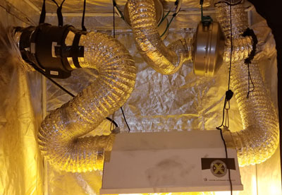 This grow tent setup uses two fans: a four inch fan attached to a carbon filter to exhaust air, and a second six inch fan attached to an air-cooled light fixture to remove excess heat from the 600 watt HPS bulb.
