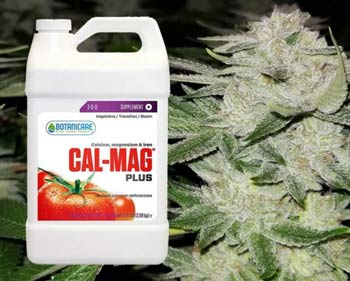 The correct feeding schedule to correct Cal Mag deficiencies during flowering or vegetation for weed plants is 5ml per gallon of water.