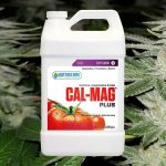 How to use Cal Mag for weed plants