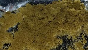 Knowing how to decarboxylate kief will unlock the THC before making green dragon tincture.
