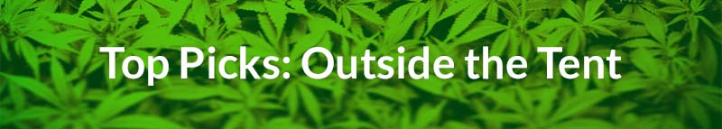 See our top picks and 3x3 grow tent dehumidifier reviews for placement outside of the grow tent.