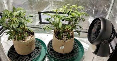 Best grow tent fan reviews for clip-on and floor fans.