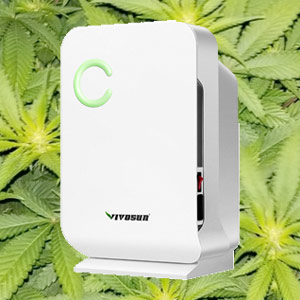 Grow tent dehumidifier guide: best dehumidifier for grow tent humidity control