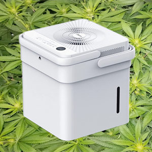 Find the Best dehumidifier for 4x4 grow tent