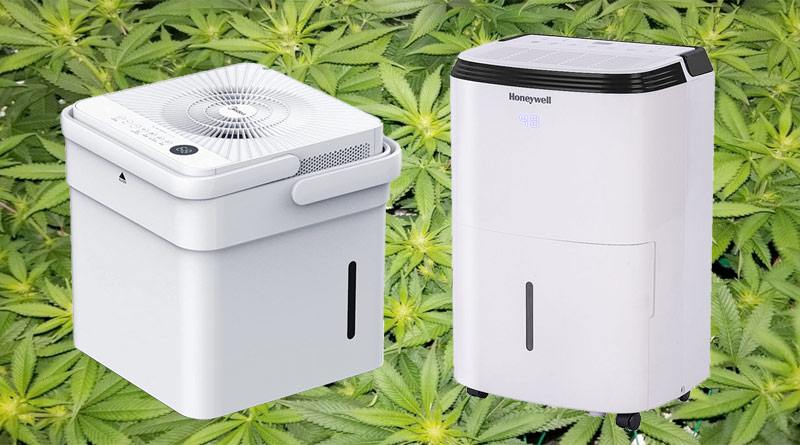 Find the best dehumidifier for 4x4 grow tent setups.