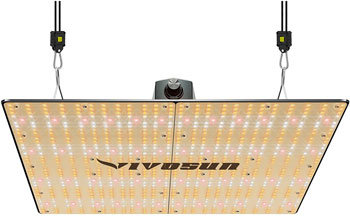Vivosun's 400 watt VS4000 grow light provides plenty of light coverage for the entire cannabis plant canopy in a 3x3 tent.