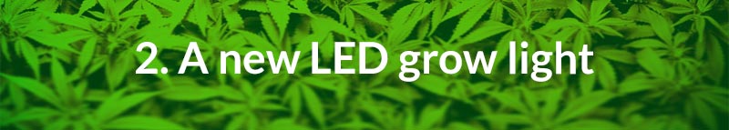 A new LED grow light will improve the quantity and quality of the weed you grow.
