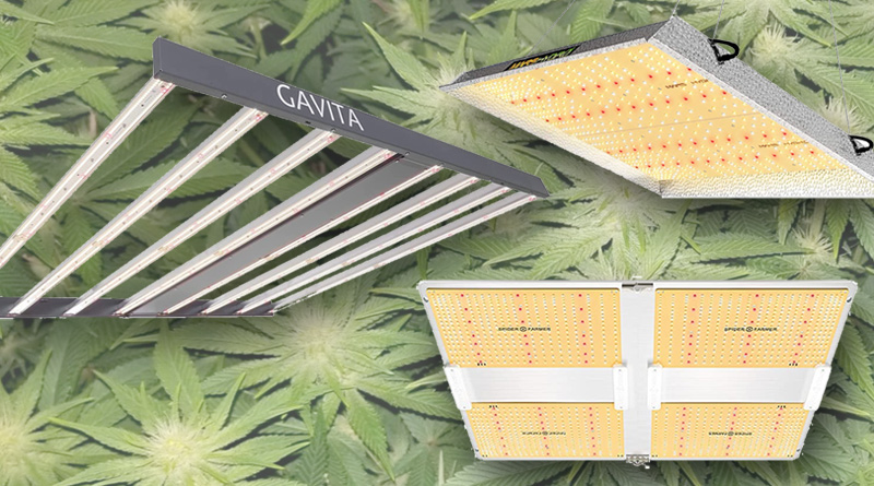 Find the best LED light for 4x4 grow tent setups for growing cannabis plants.