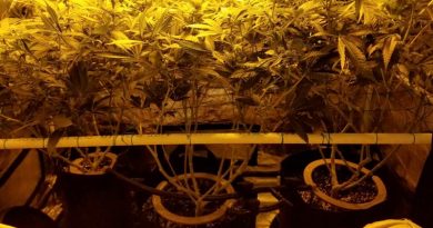 DIY automatic watering system for grow tent: make a coco drip system
