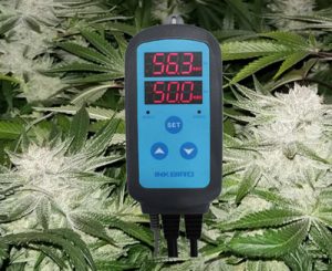 The Inkbird humidity controller can turn on your fan when needed to maintain the perfect humidity level in your grow tent.