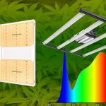 Best LED grow lights for weed.