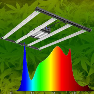 Best LED grow lights for weed