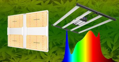 Best LED grow lights for weed