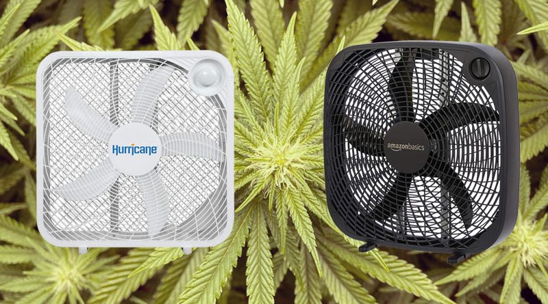 Find the best box fan for grow room