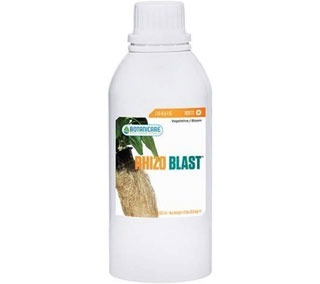 Botanicare Rhizo Blast is a rooting enhancer that will promote quick recovery after transplanting.