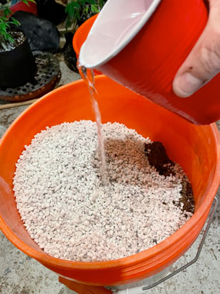 Add perlite to your soil or coco to provide aeration and encourage fast root growth. 