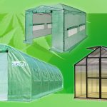 Cannabis Greenhouse Buyer's Guide